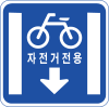 파일:자전거전용차로.png