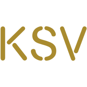 파일:KSV_eSports_logo.png