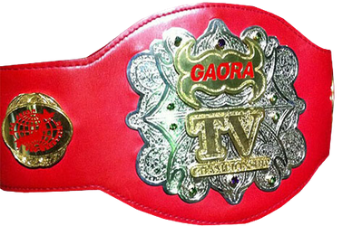 파일:All_Japan_Pro_Wrestling_GAORA_TV_Championship.png