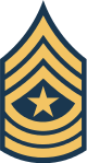 파일:external/upload.wikimedia.org/80px-Army-USA-OR-09c.svg.png