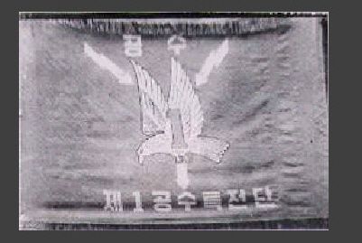파일:rok1sfg-flag.jpg