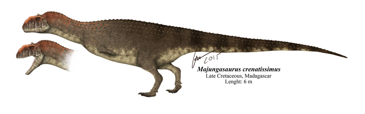 파일:majungasaurus_crenatissimus_by_kana_hebi_d913q3v-fullview.jpg
