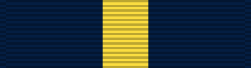 파일:Navy_Distinguished_Service_Medal_ribbon.svg.png