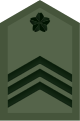 파일:external/upload.wikimedia.org/80px-JGSDF_Master_Sergeant_insignia_%28miniature%29.svg.png