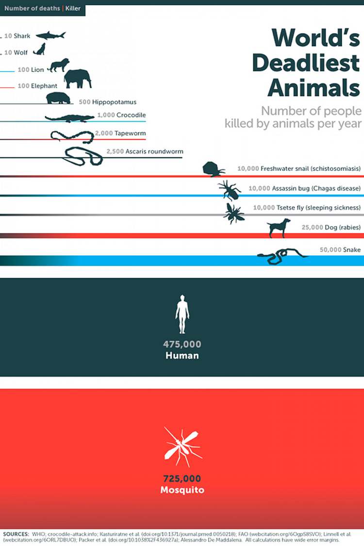 파일:World's Deadliest Animals.png