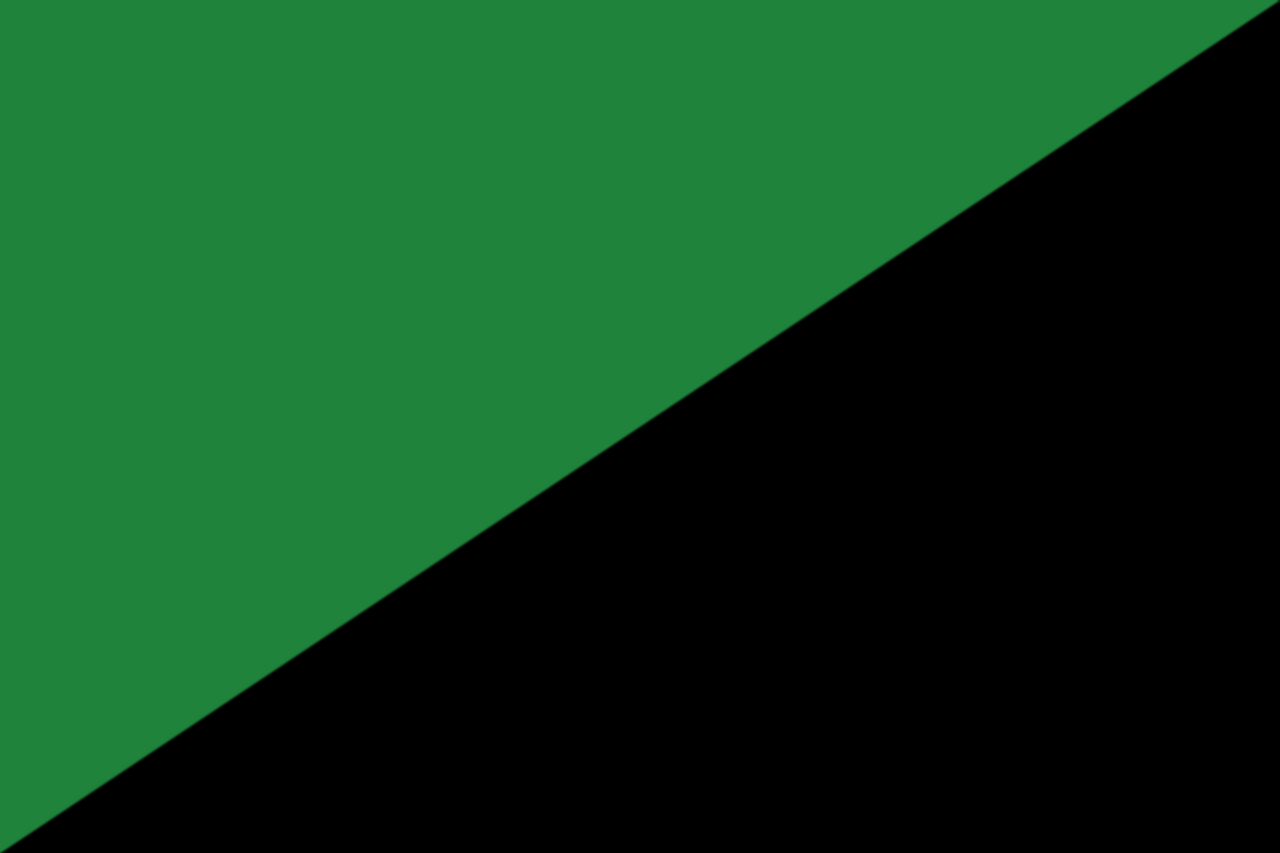 파일:1280px-Darker_green_and_Black_flag.svg.png