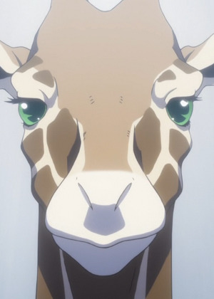 파일:giraffe-revue.jpg