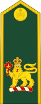 파일:external/upload.wikimedia.org/80px-Canadian_Army_%28Commander-in-Chief_of_the_Canadian_Armed_Forces%29.svg.png