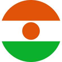 파일:external/upload.wikimedia.org/220px-Roundel_of_the_Niger_Air_Force.svg.png