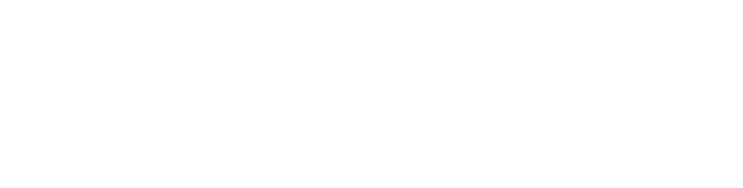 파일:The Virgin Suicides Logo.png
