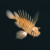 파일:volitans lionfish.png