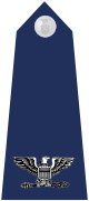 파일:external/upload.wikimedia.org/80px-US_Air_Force_O6_shoulderboard.svg.png
