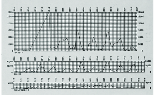 파일:Periodic-fluctuations-of-rabbit-lynx-and-wolverine-in-Canada-1820-1914-Hewitt.png