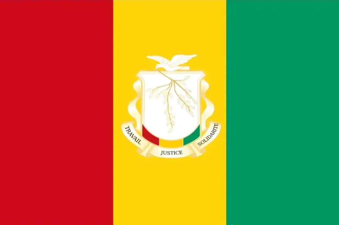파일:기니 대통령기.jpg