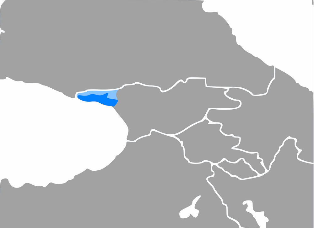 파일:2560px-Map_of_Abkhaz_language.svg.png