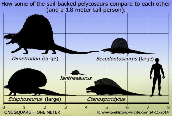 파일:external/www.prehistoric-wildlife.com/sail-backed-pelycosaurs.jpg