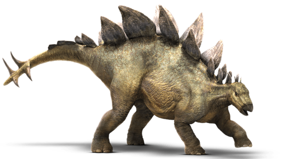 파일:Stegosaurusdetail-header.png