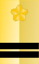 파일:external/upload.wikimedia.org/80px-JGSDF_Sergeant_First_Class_insignia_%28a%29.svg.png