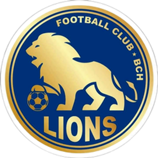파일:BCH_Lions_Logo.png