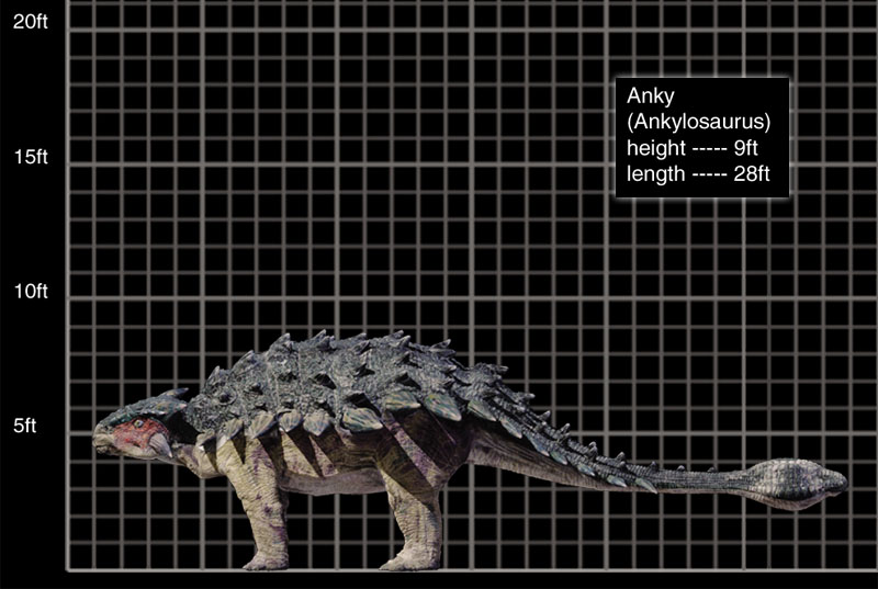 파일:800x537_Ankylosaurus.jpg